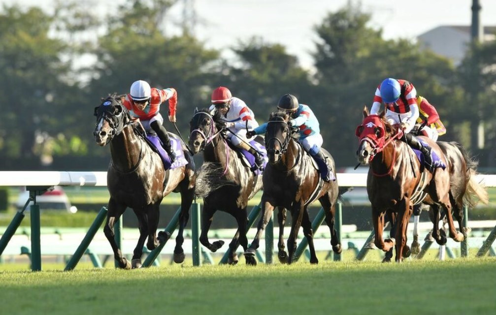 縁起物 デムーロ レッドファルクス スプリンターズステークス 競馬